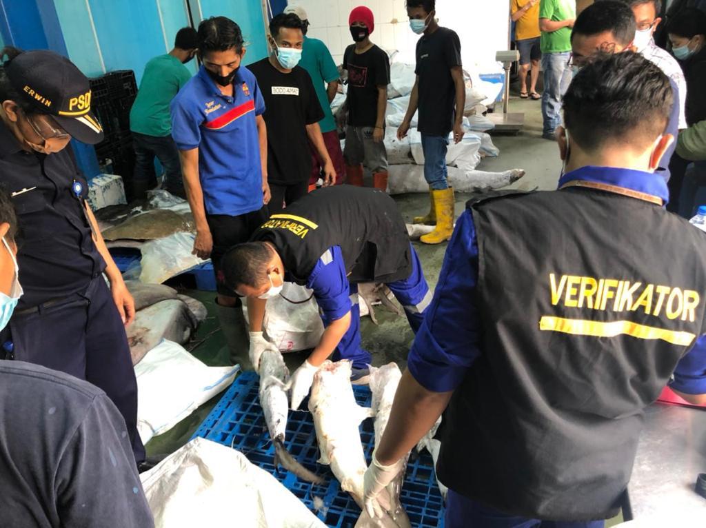 Petugas BKIPM saat mengamankan ikan beku ilegal di Pelabuhan Tanjung Priok (sumber; KKP)