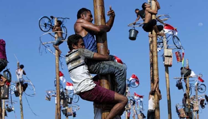 Lomba panjat pinang 17 Agustusan. (foto: ilustrasi)