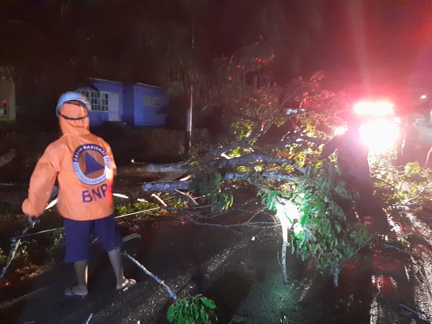 Tim BPBD Agam mengevakuasi material pohon tumbang akibat cuaca buruk di Jorong II Balai Ahad Nagari Lubuk Basung Kabupaten Agam, Minggu (10/10)