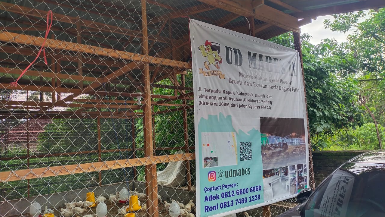 Harga Ayam Potong Masih Tinggi