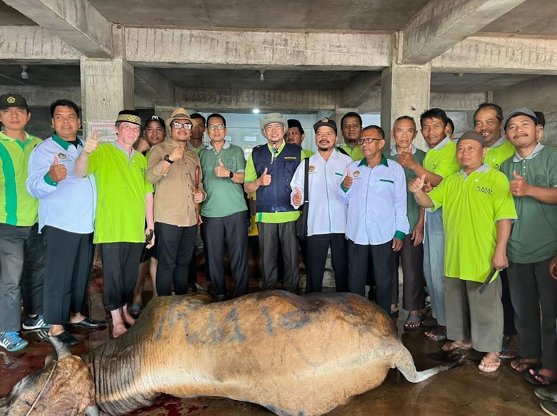 LDII Sumbar saat serahkan seekor sapi berbobot 600 Kg untuk korban galodo di Tanah Datar. (ist)
