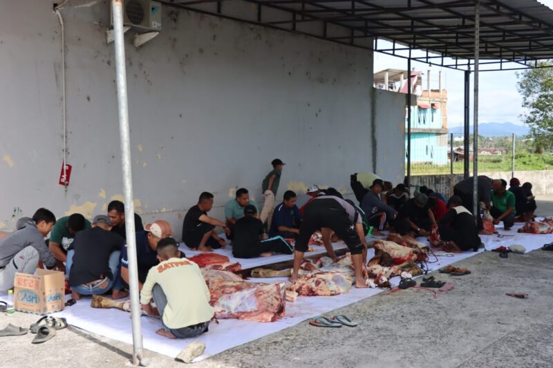 UIN Bukittinggi Qurbankan enam ekor sapi dalam momen Iduladha 1446 H