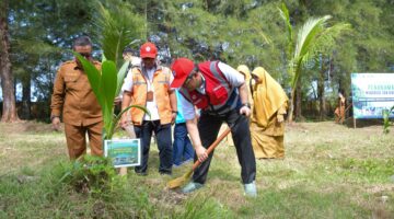 PT Semen Padang Serahkan 3.300 Bibit Mangrove untuk Dukung Tobat Ekologis di Sumbar