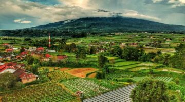 Munajat Cinta di Sepenggal Tanah Surga