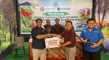 Petani Aur Malintang Belajar Olah Kaliandra Jadi Pakan