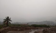 Kabut Asap Kiriman Kembali Menyelimuti Maninjau