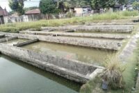 Usaha tambak Ikan air deras butuh perbaikan irigasi di Sungai Bangek.