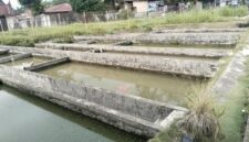 Usaha tambak Ikan air deras butuh perbaikan irigasi di Sungai Bangek.