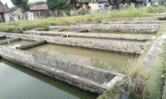 Kerugian Capai 200 Juta, Petambak Minta Pemko Perbaiki Saluran Irigasi