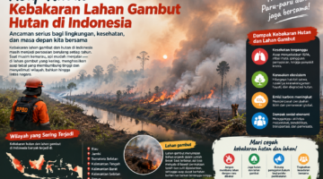 Saatnya Indonesia Membuat Teknologi Penetralisir Asap Kabut
